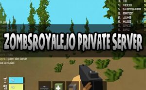 Why You Should Play in ZombsRoyale.io Private Server? zombsroyale.io private server